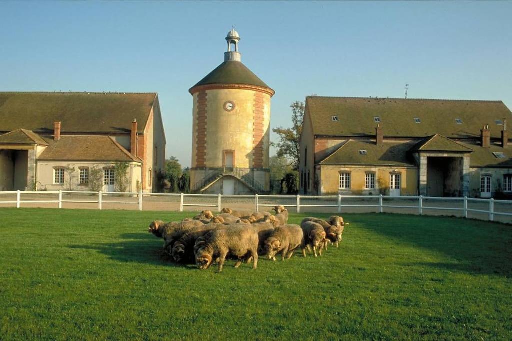 Gite De L'Alisier - Rambouillet - Zewnętrze zdjęcie